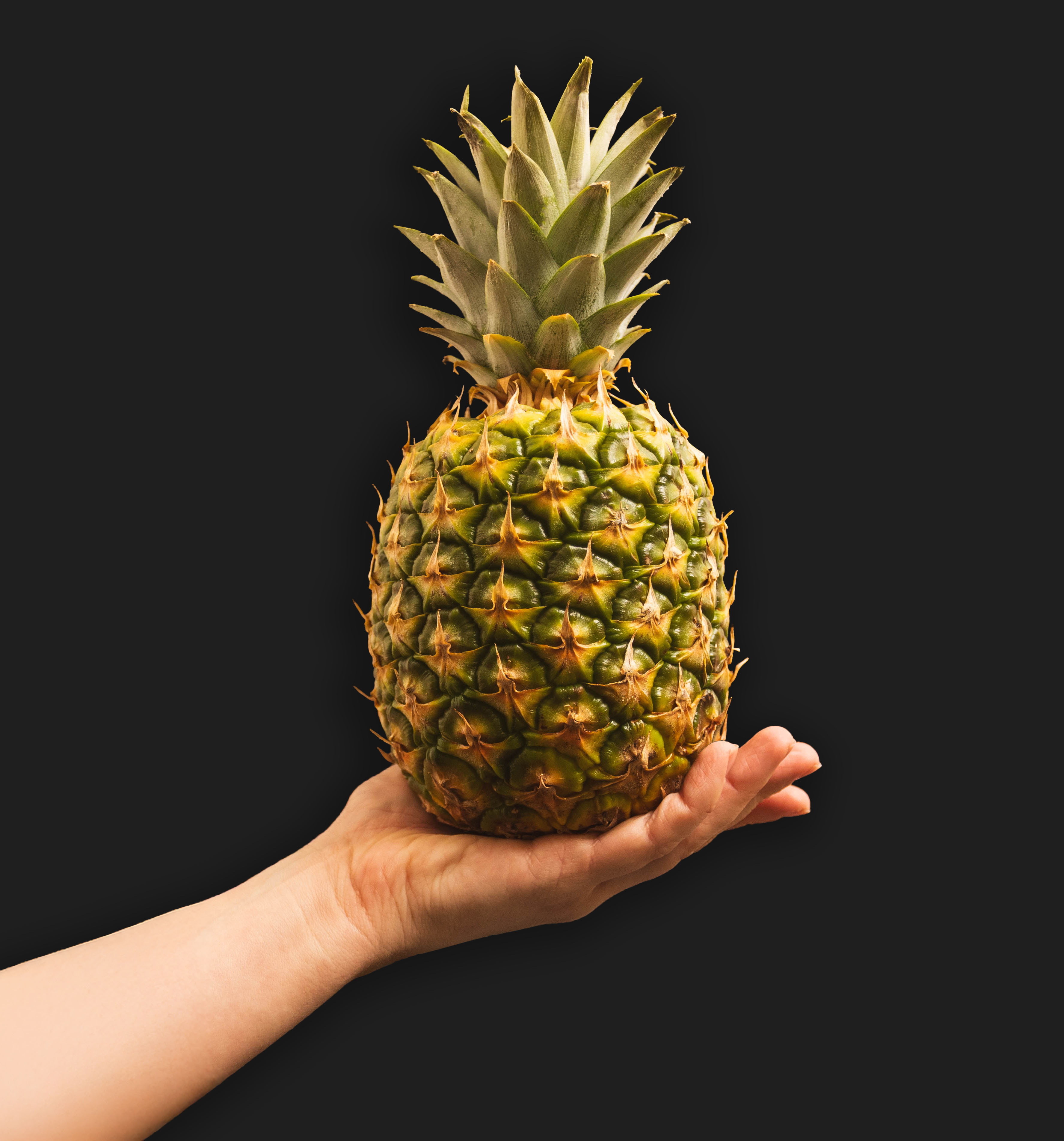 Hand hält eine frische Ananas vor schwarzem Hintergrund.
