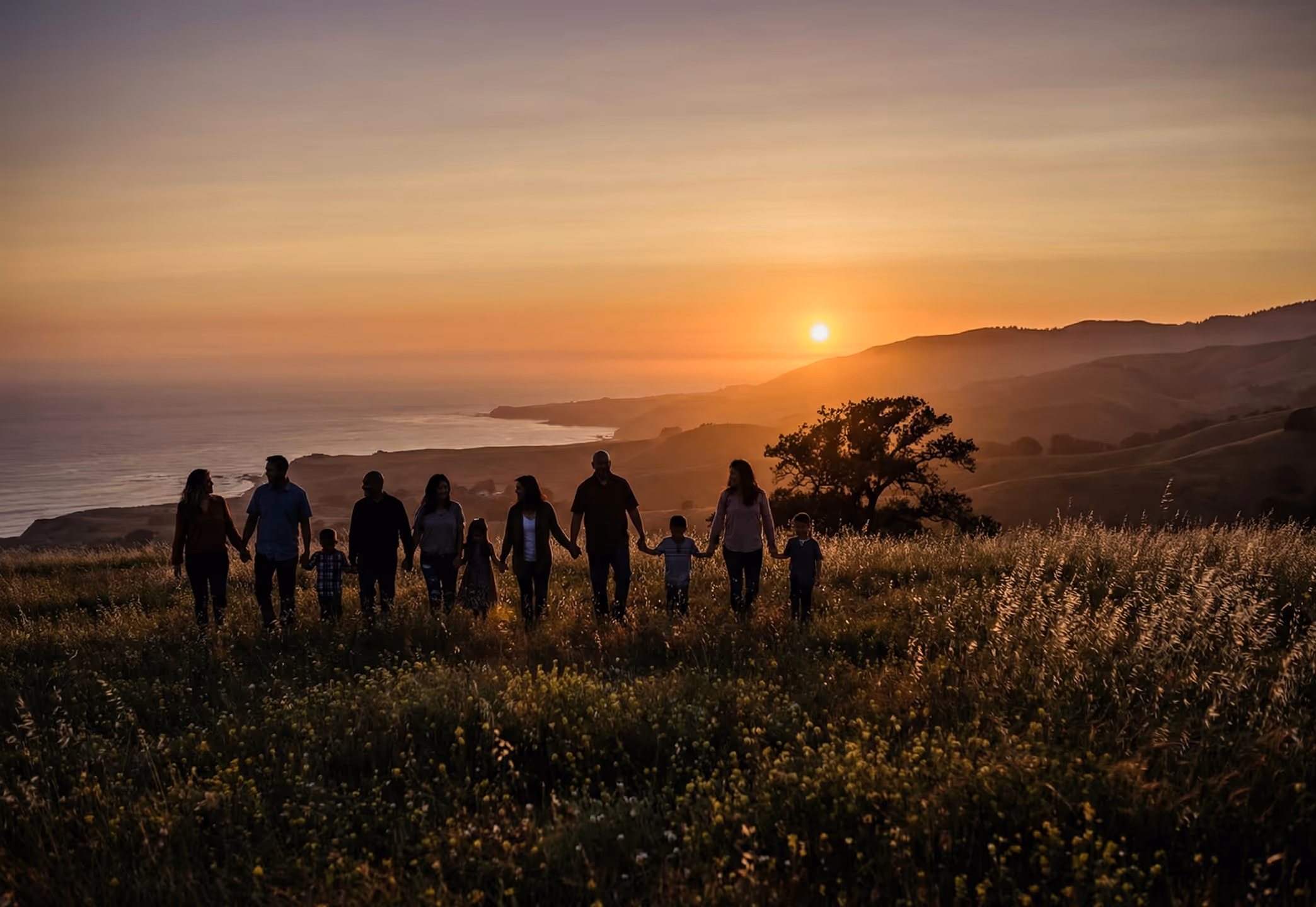 Silhouettes of a large family holding hands walking through a meadow at sunset with coastal hills in the background.