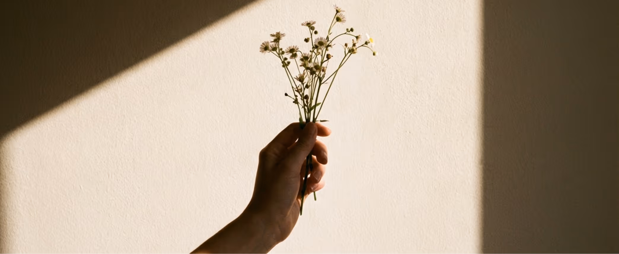 Hand holding a small bouquet of delicate wildflowers against a beige wall with sunlight and shadow.