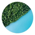Aerial view of dense green forest bordering a vibrant turquoise body of water.