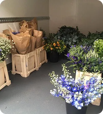 Various fresh flowers and bouquets wrapped in brown paper, stored in crates and pots in a refrigerated room.