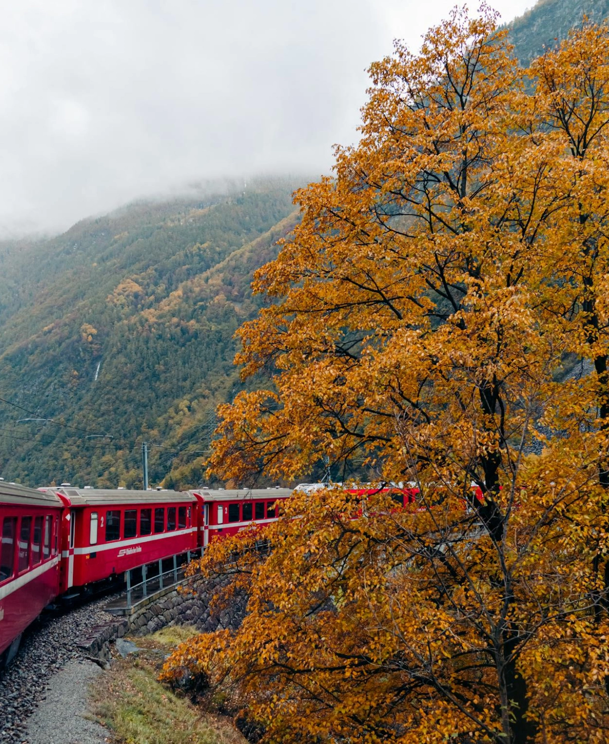 Aquvion-travel-train-package-trending-package-image