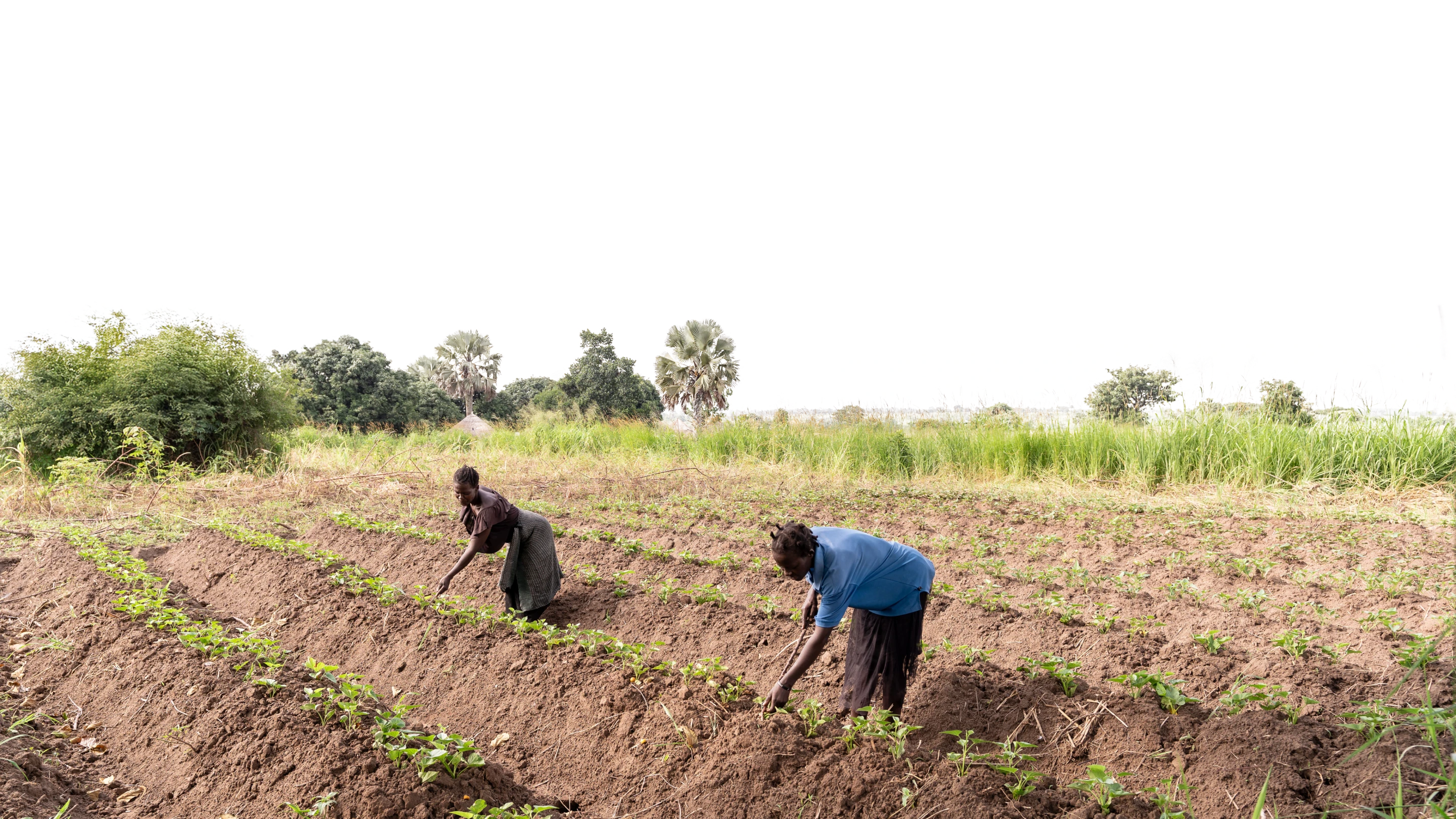 When communities lead and data guides, lasting change follows.