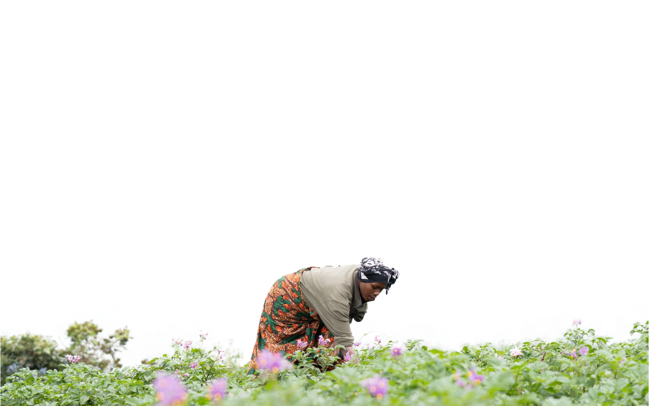 A village-wide program designed for high impact at low cost.