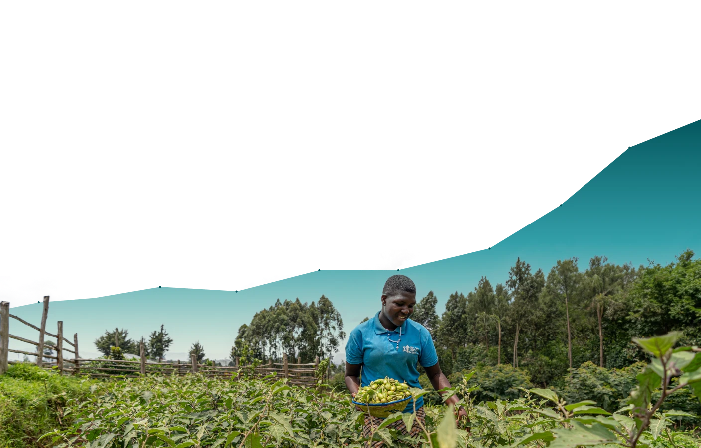Smiling woman in a blue shirt holding a basket of green vegetables in a green farm field with trees and a wooden fence in the background.