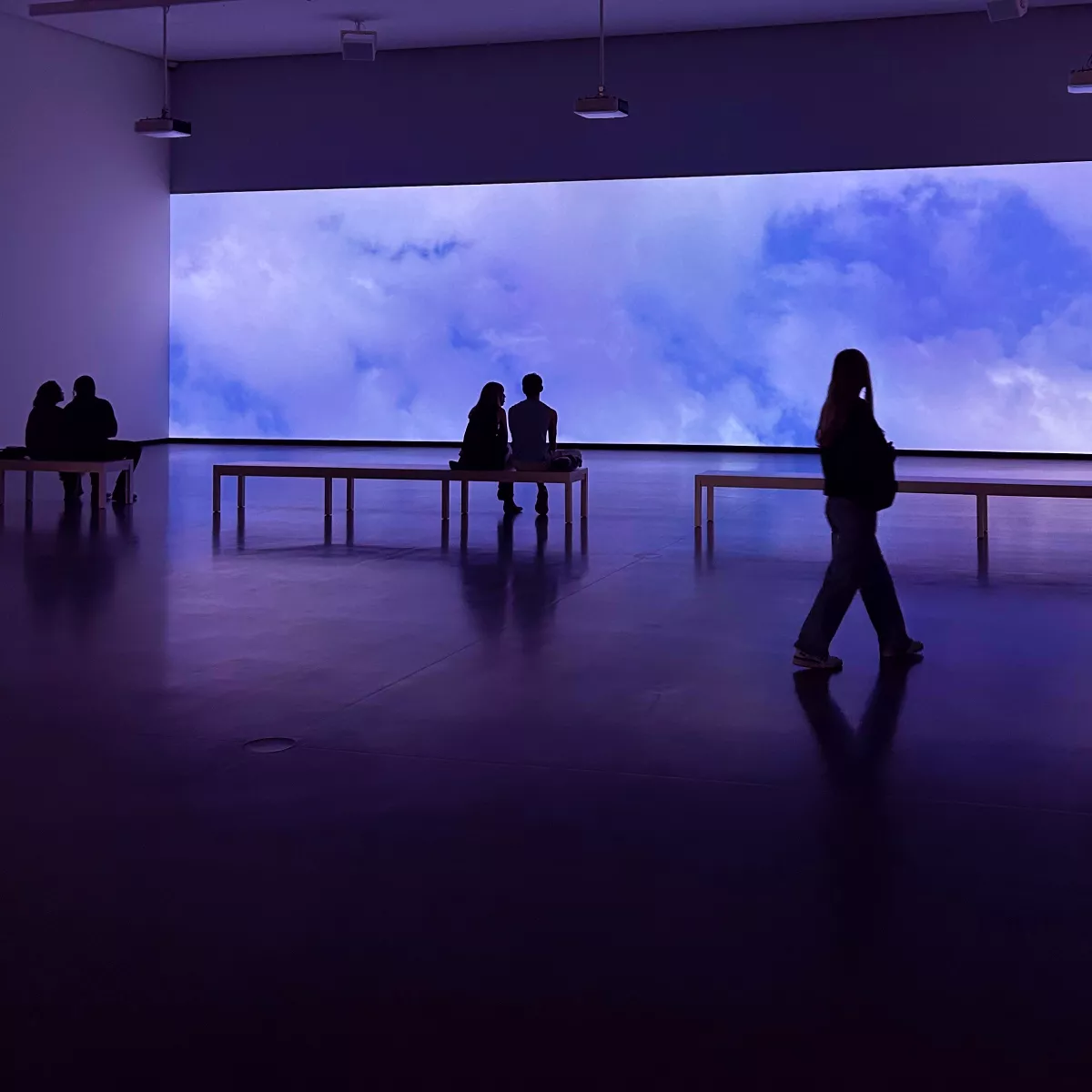 circle formed floating flower