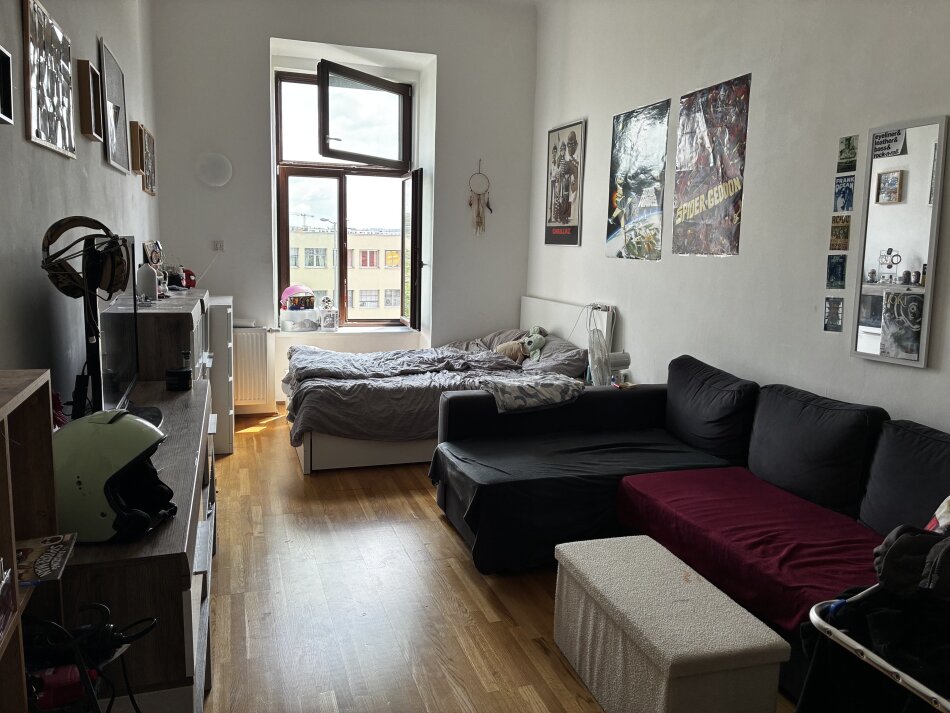 Graz-Nähe Citypark: Charmante 1-Zimmer-Wohnung in zentraler Lage!