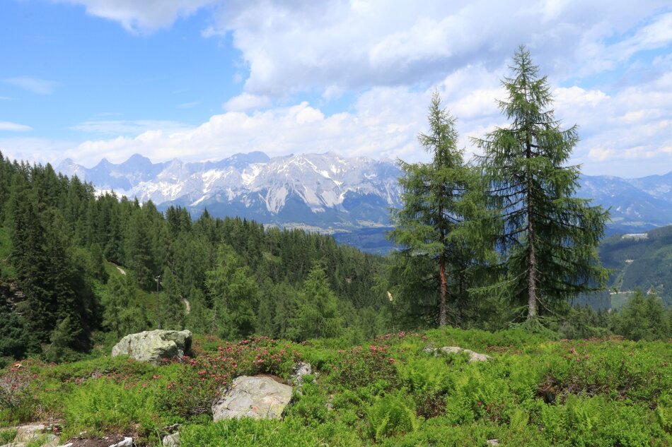 Schladming-Feel Well Reiteralm: Mitten im Skigebiet statt nur dabei: Apartment in Top-Lage mit touristischer Nutzung!