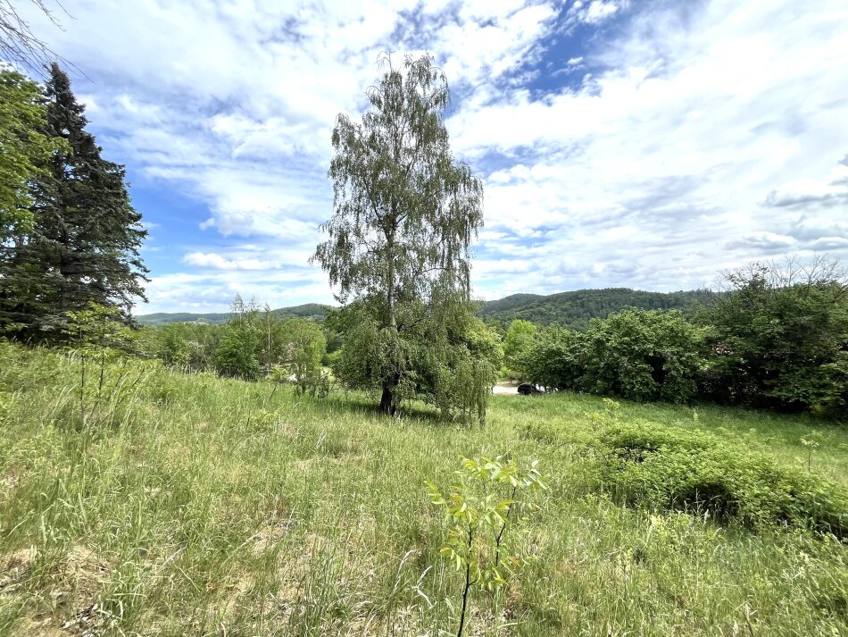 Graz-Stifting: Attraktives Grundstück in Top-Lage mit vielseitigen Bebauungs- und Teilungsmöglichkeiten -  2.580 m² Entwicklungspotenzial