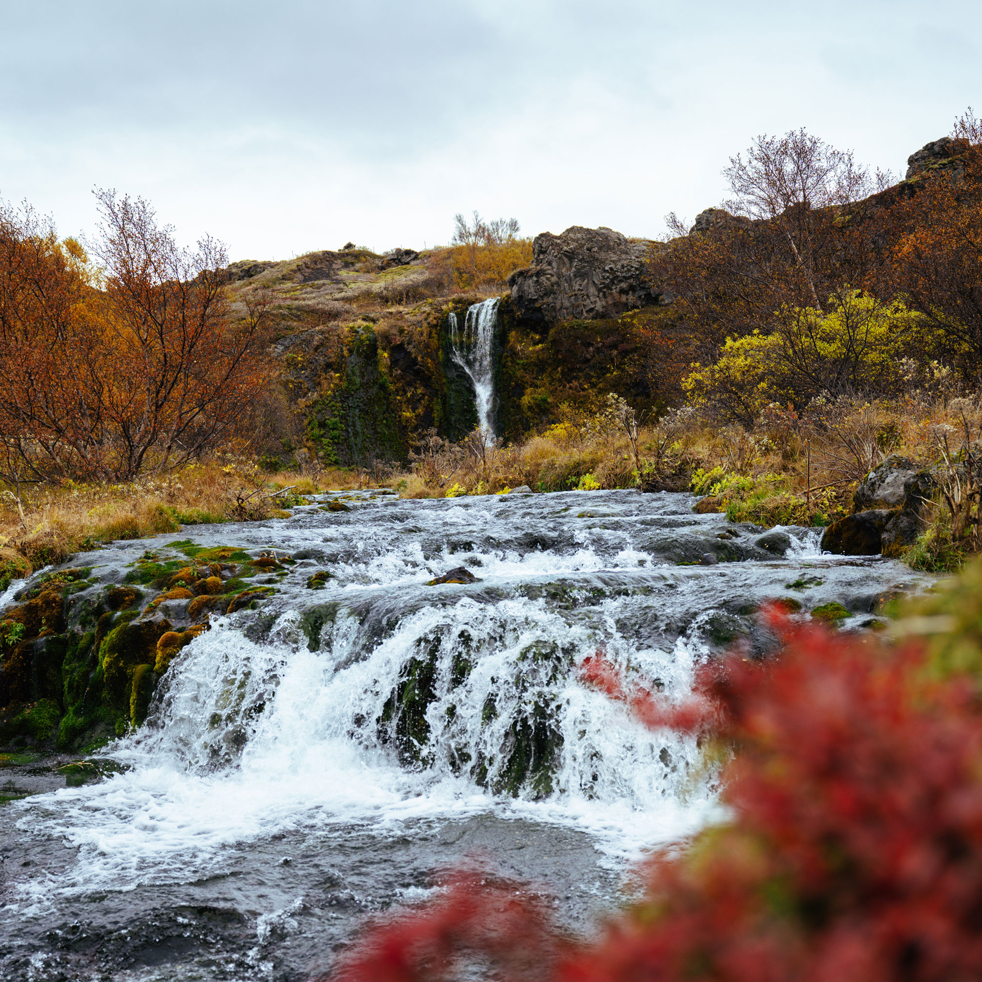 Explore the Highlands and experience some of South Iceland’s most dramatic scenery.