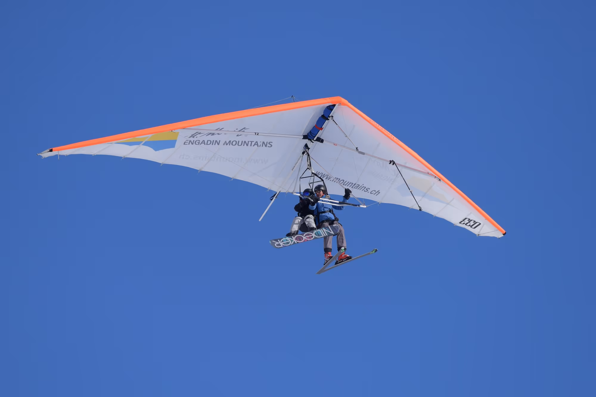 image of trending sneaker models (for a footwear store)