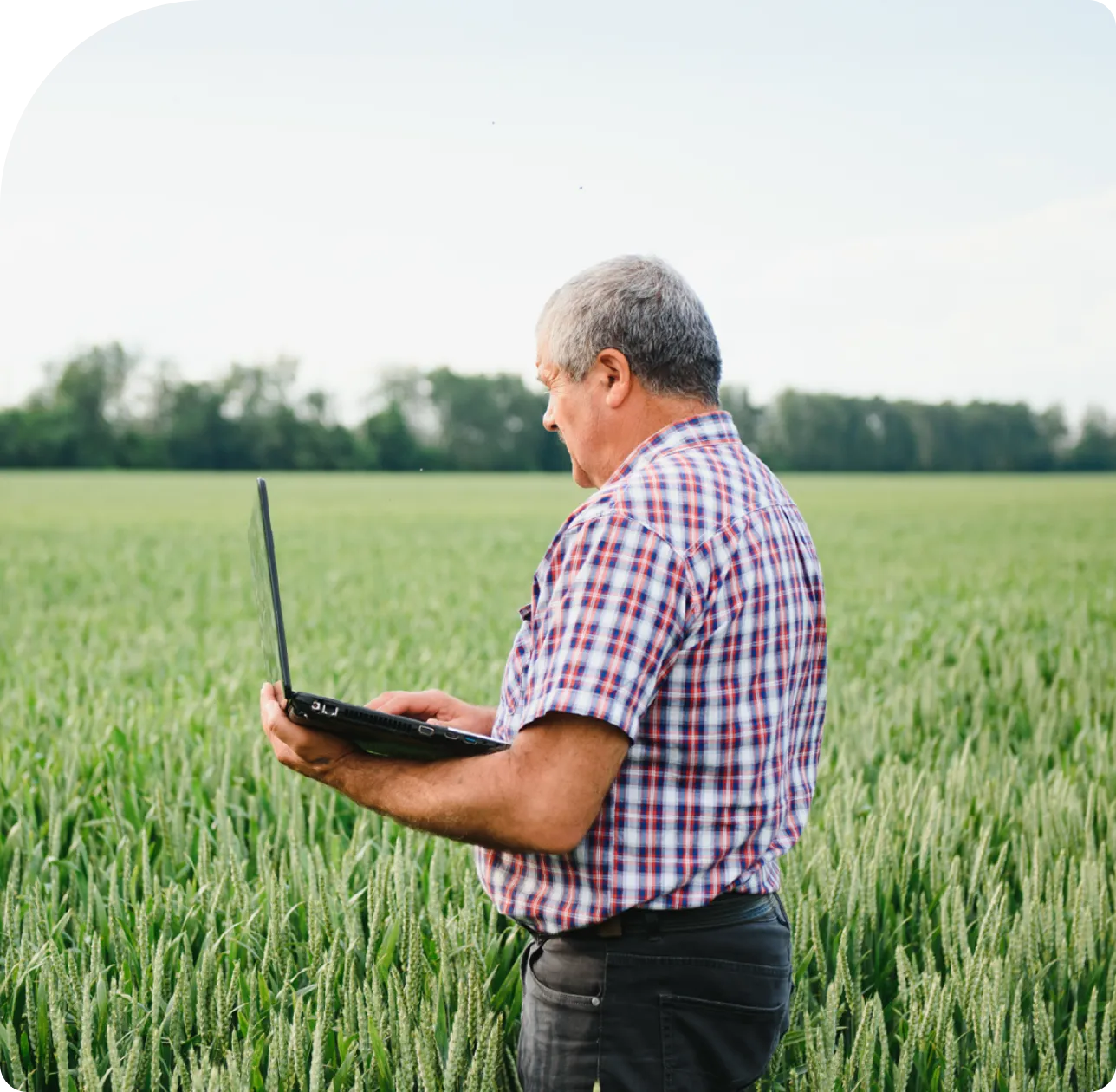 Hombre mayor con camisa a cuadros usando una computadora portátil en un campo verde de trigo.
