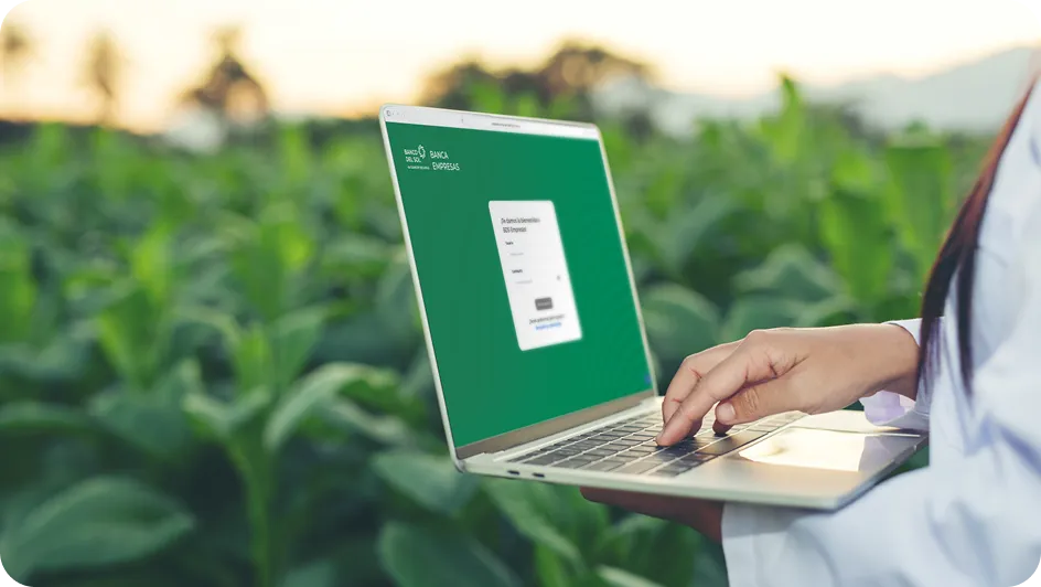 Persona usando una computadora portátil con pantalla de inicio de sesión de banca empresarial en un campo verde al aire libre.