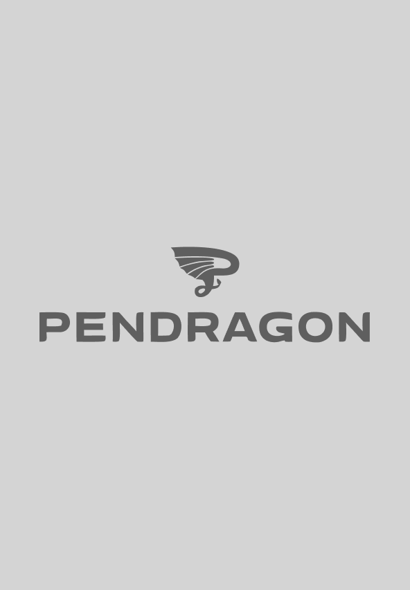 Pendragon Family Office