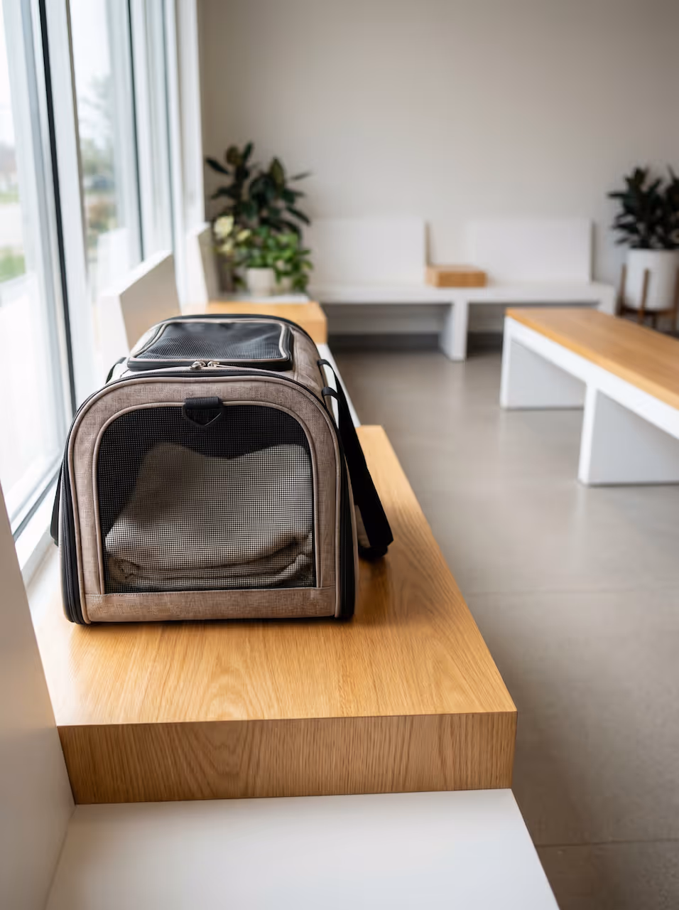 Wartezimmer mit Holzbänken, auf denen eine graue, belüftete Transporttasche für Haustiere steht.