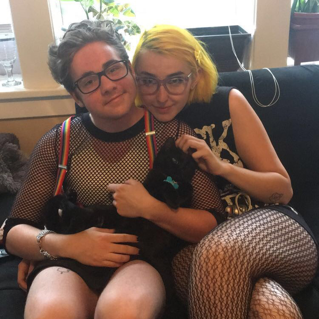 Bombay cats for sale