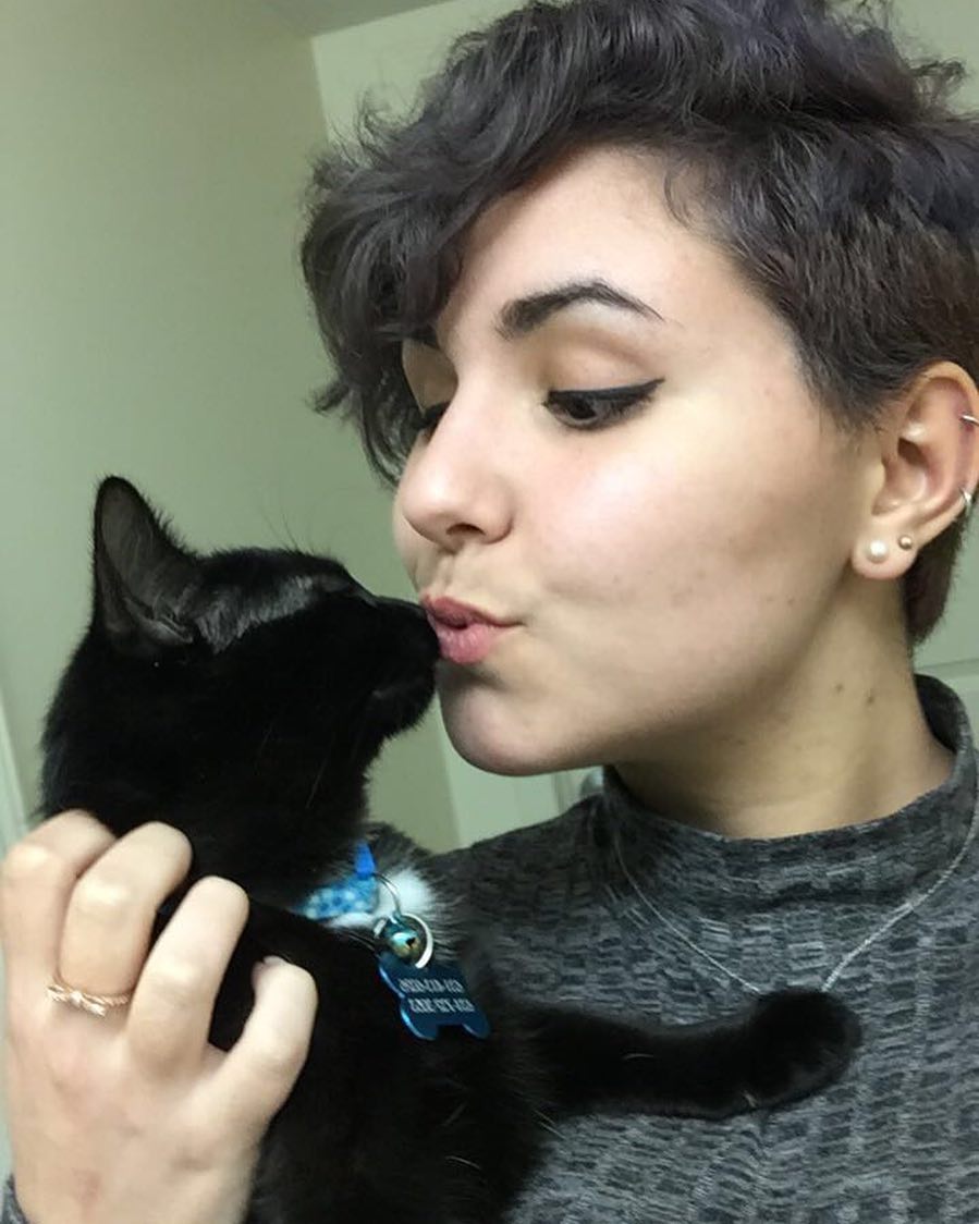 Bombay cats for sale