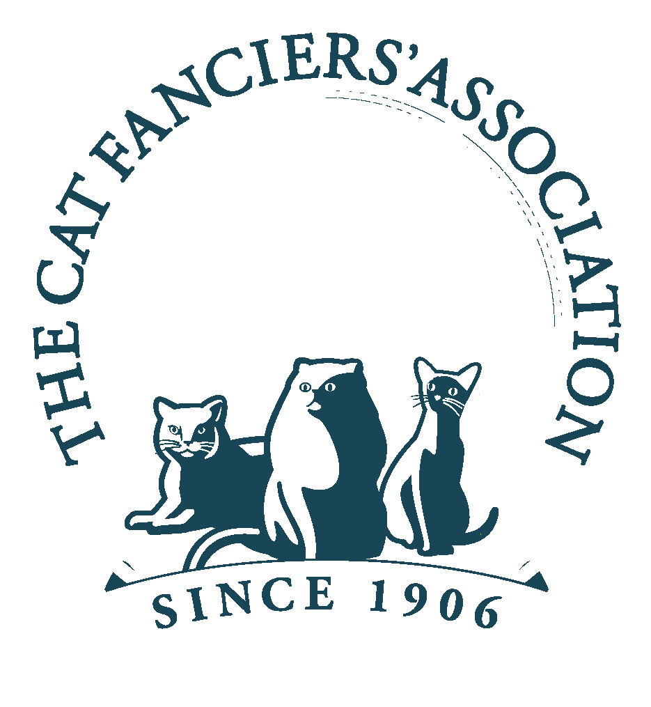 Bombay  kittens for sale