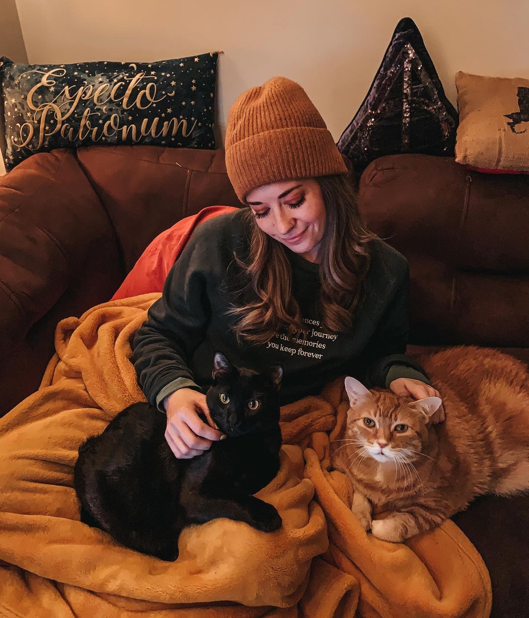 Bombay cats for sale