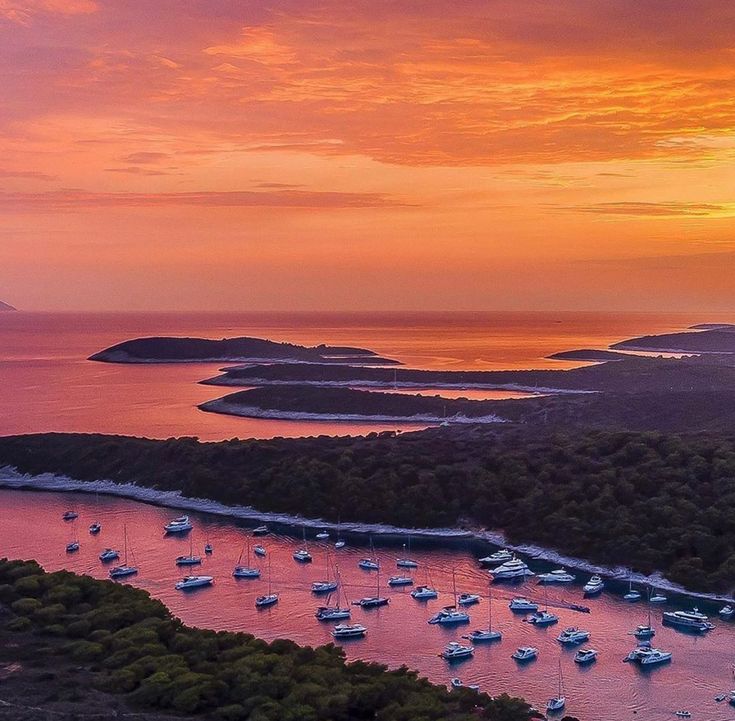 [background image] image of office space with agricultural samples