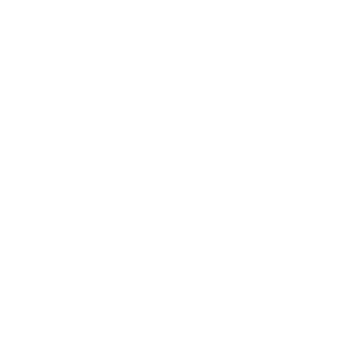 Password Icon