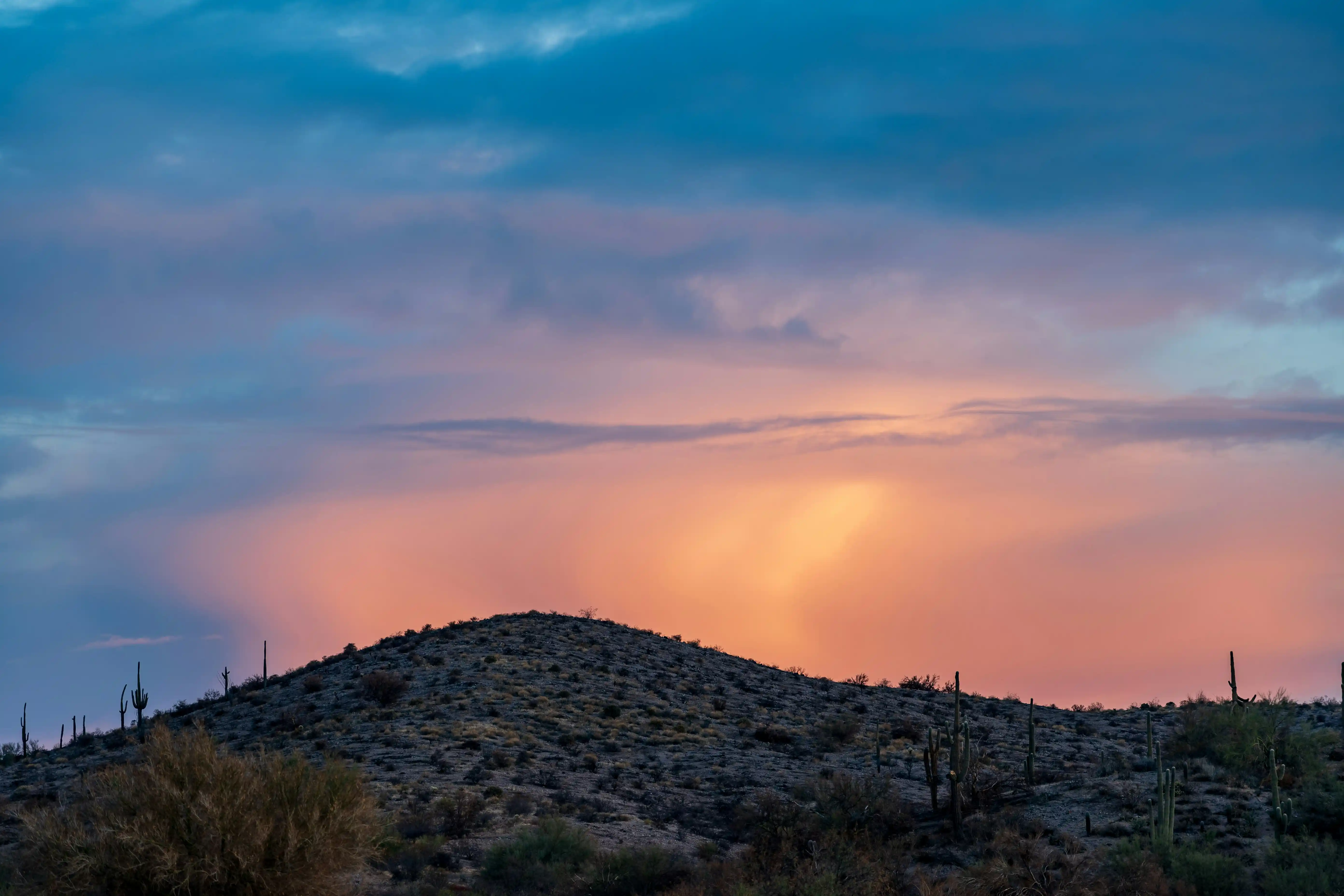 Desert hill landscape with scattered cacti under a colorful sunset sky with blue and pink clouds.