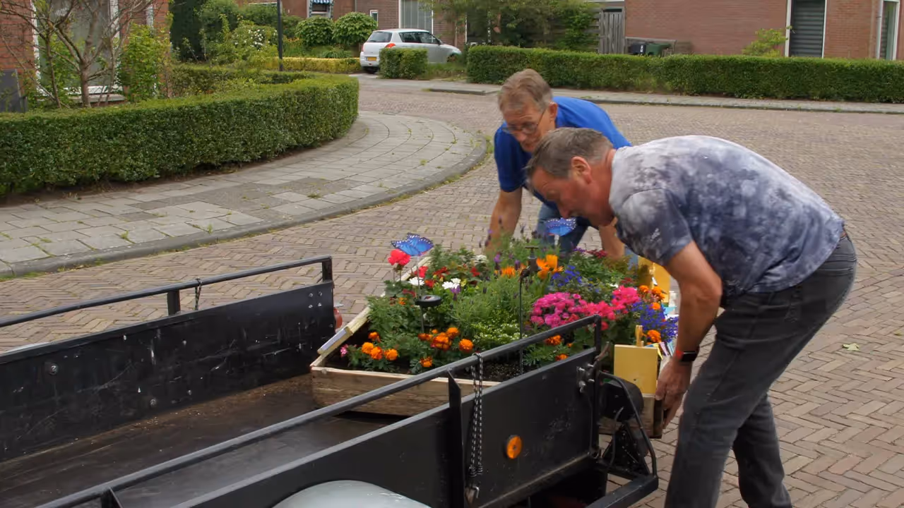 Plaatsing drijftuintjes in Heerenveen
