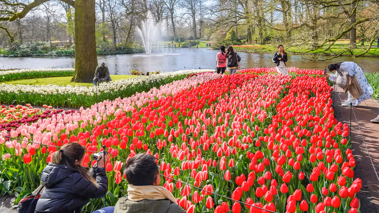 keukenhof en asito
