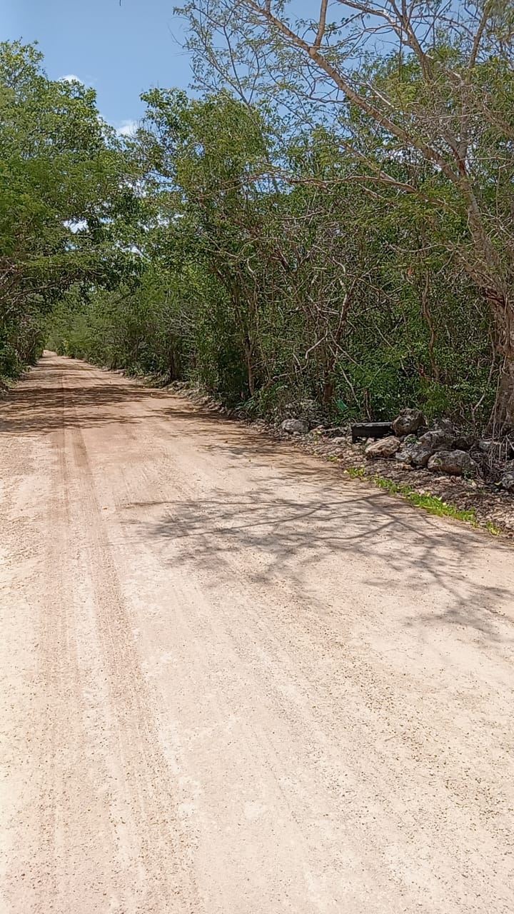 estabilizador iónico de suelos marca enfirme