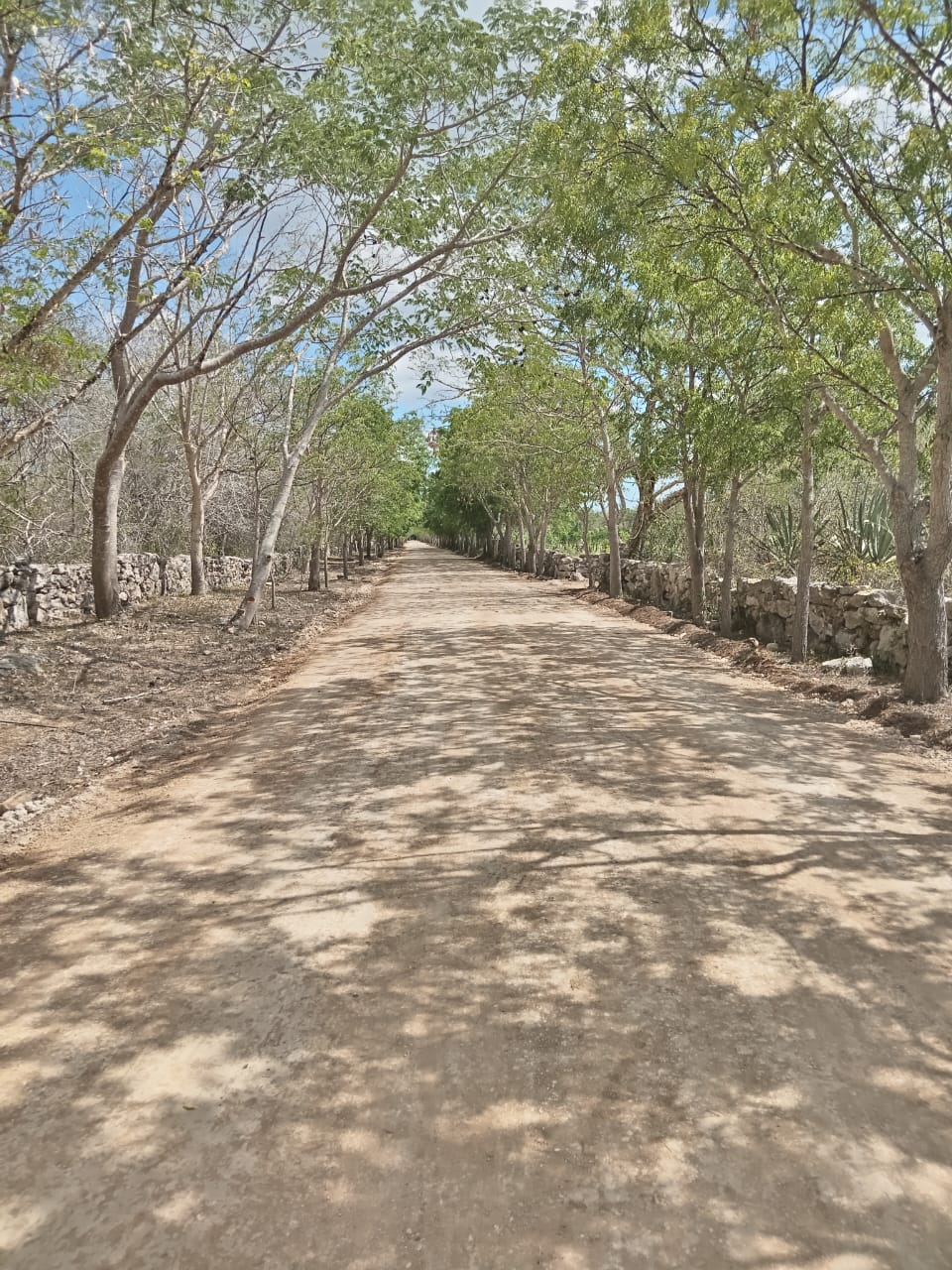 maquina para preparar la estabilización de suelos