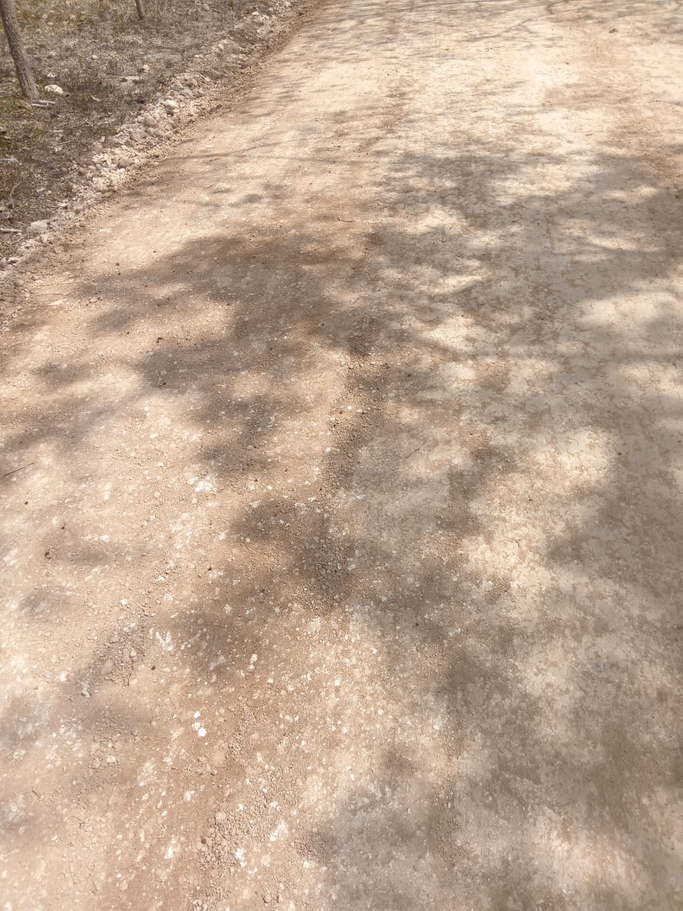 estabilizador iónico de suelos marca enfirme