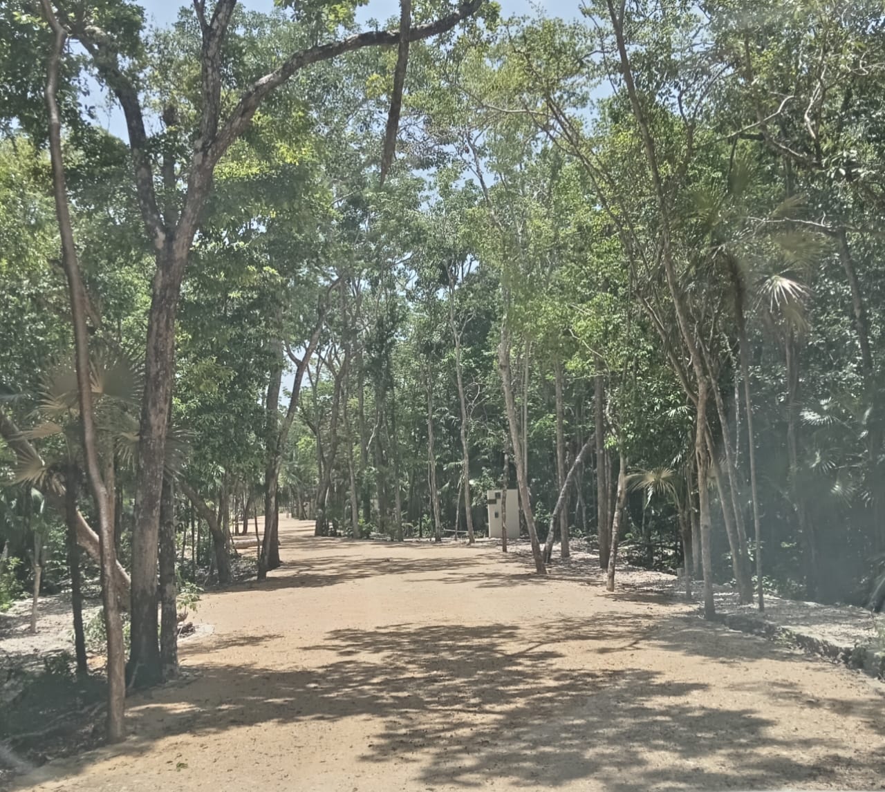 estabilizador iónico de suelos marca enfirme