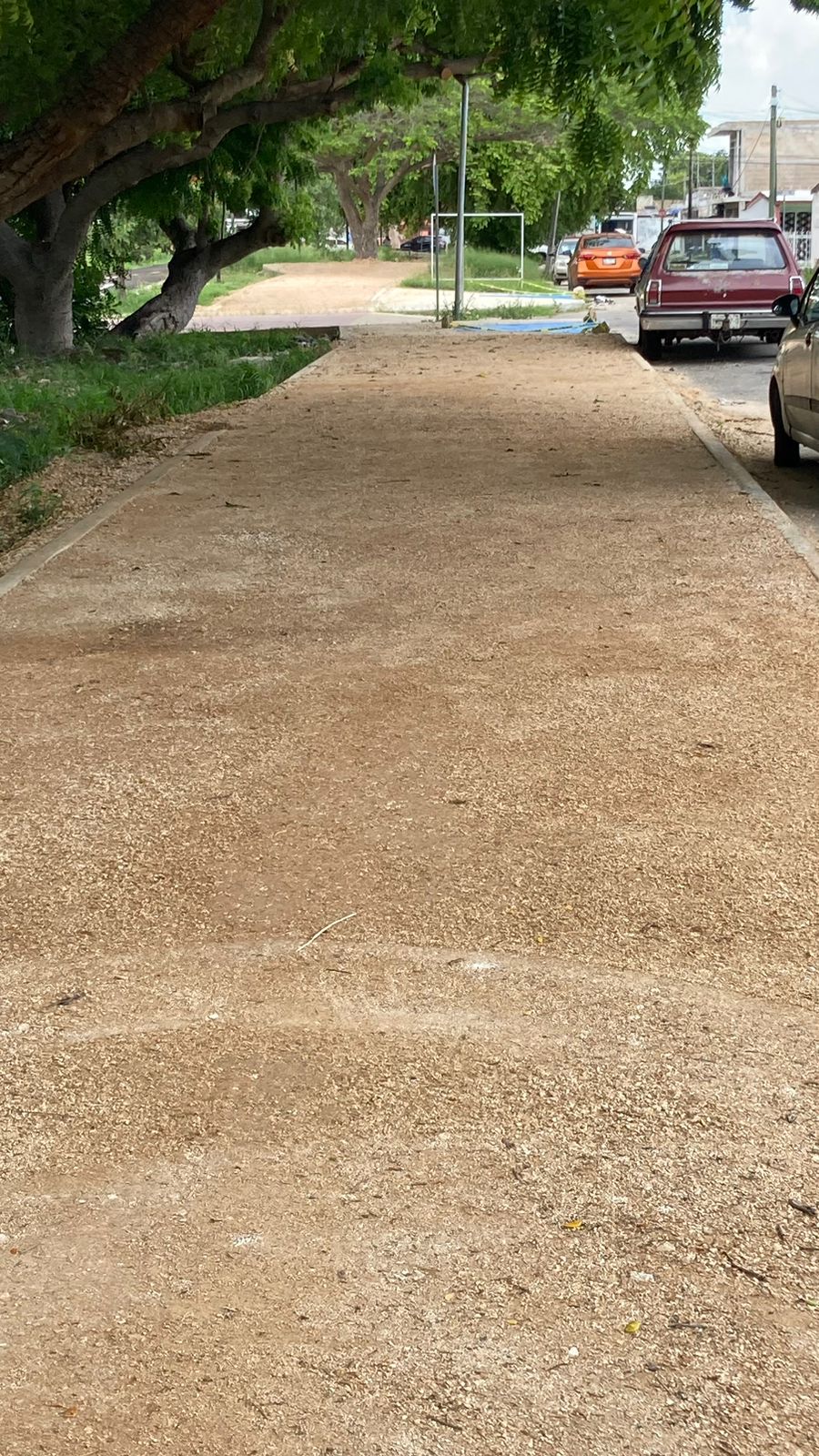 estabilizador iónico para caminos