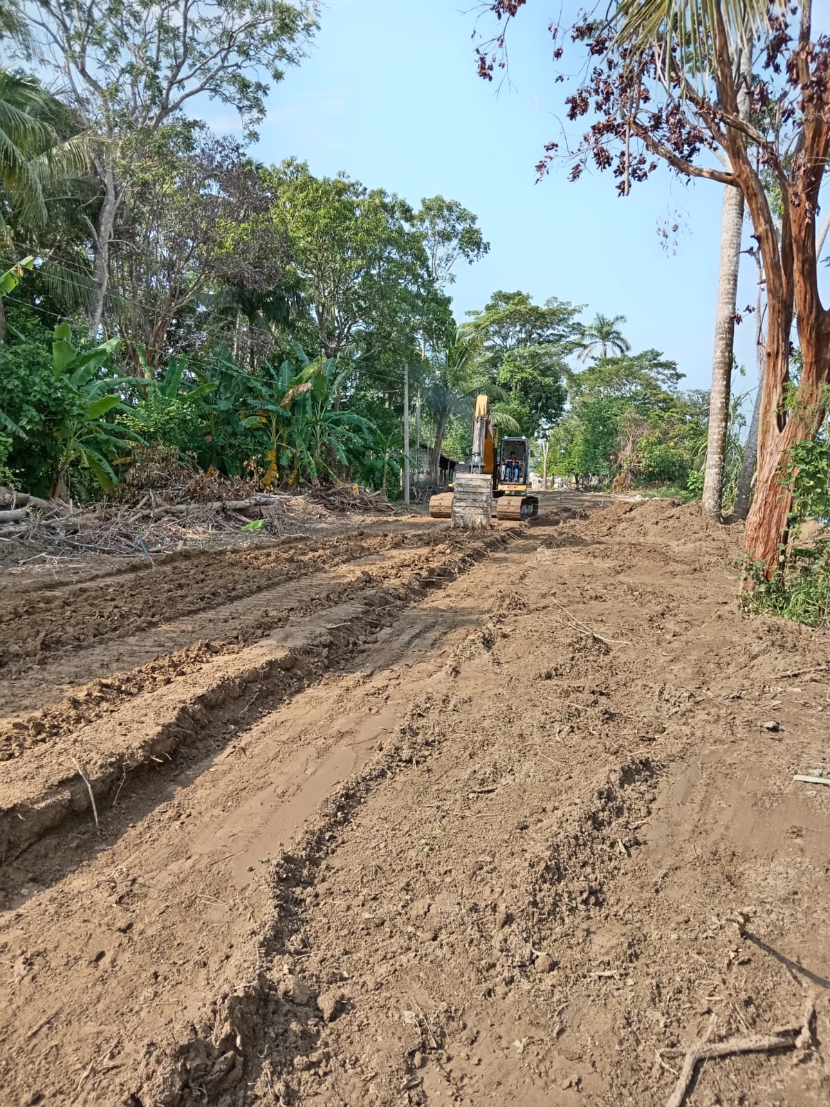 estabilizador iónico de suelos marca enfirme