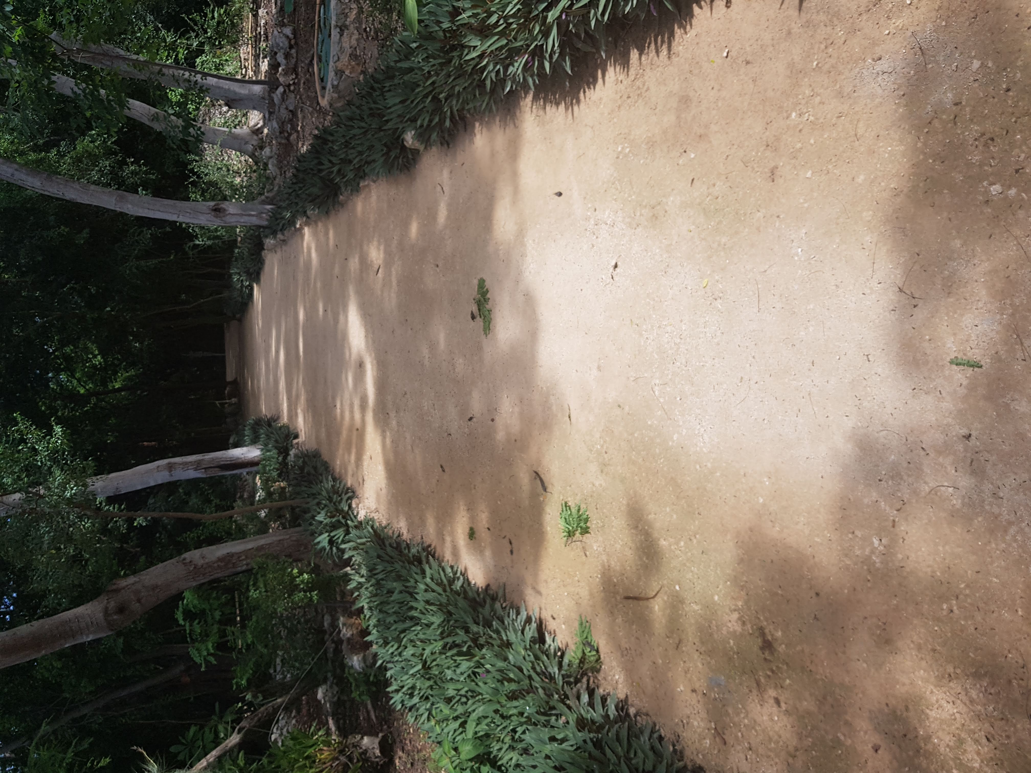 estabilizador iónico para caminos