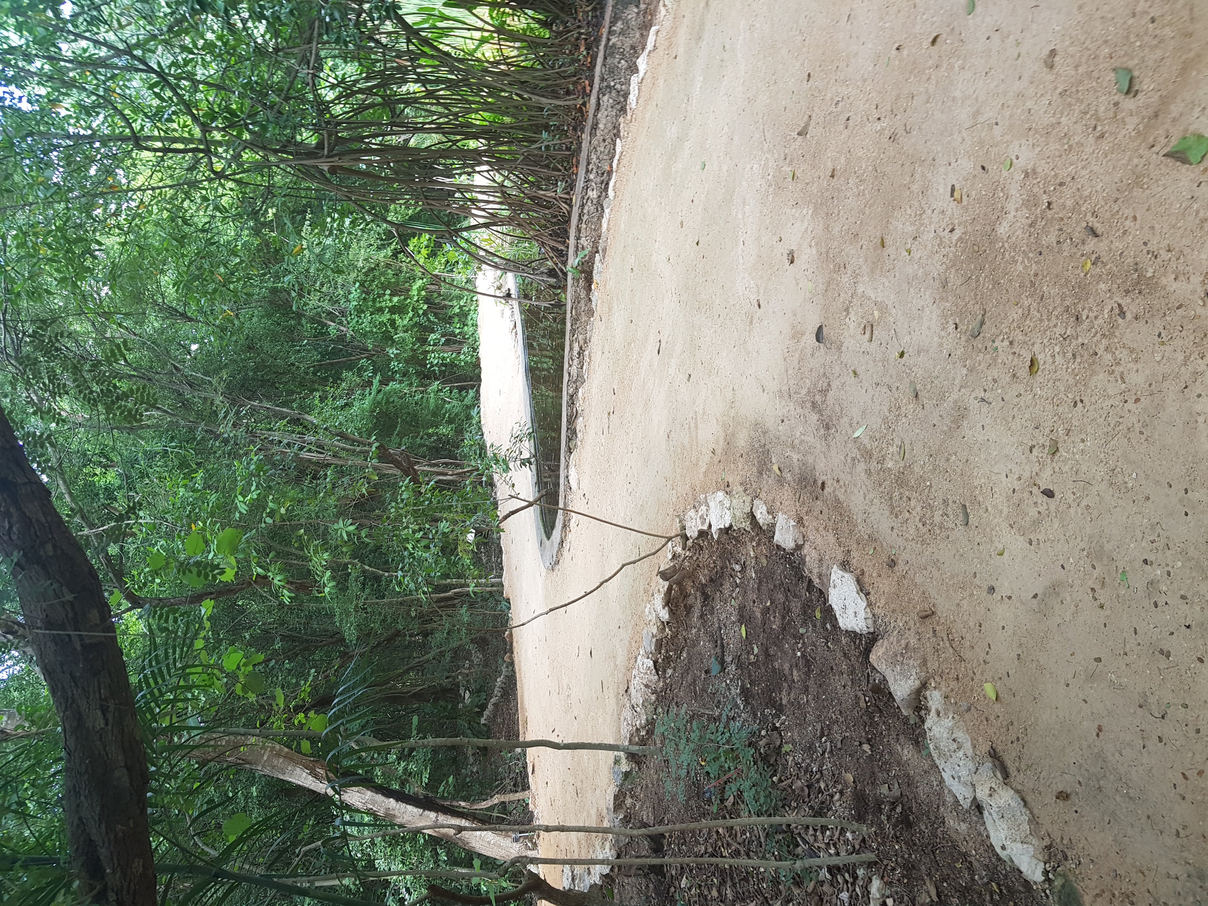 estabilizador iónico de suelos marca enfirme