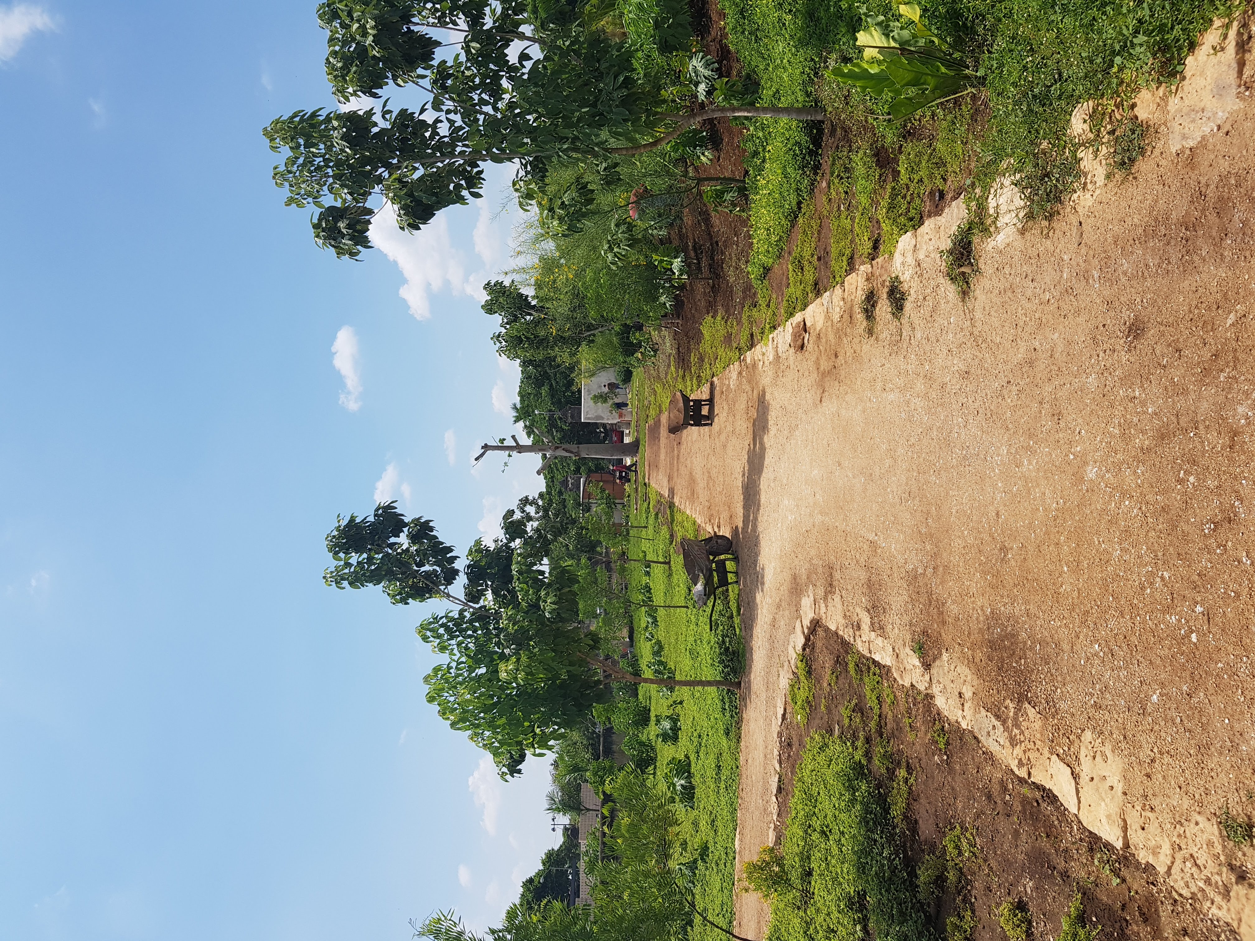 estabilizador iónico de suelos marca enfirme