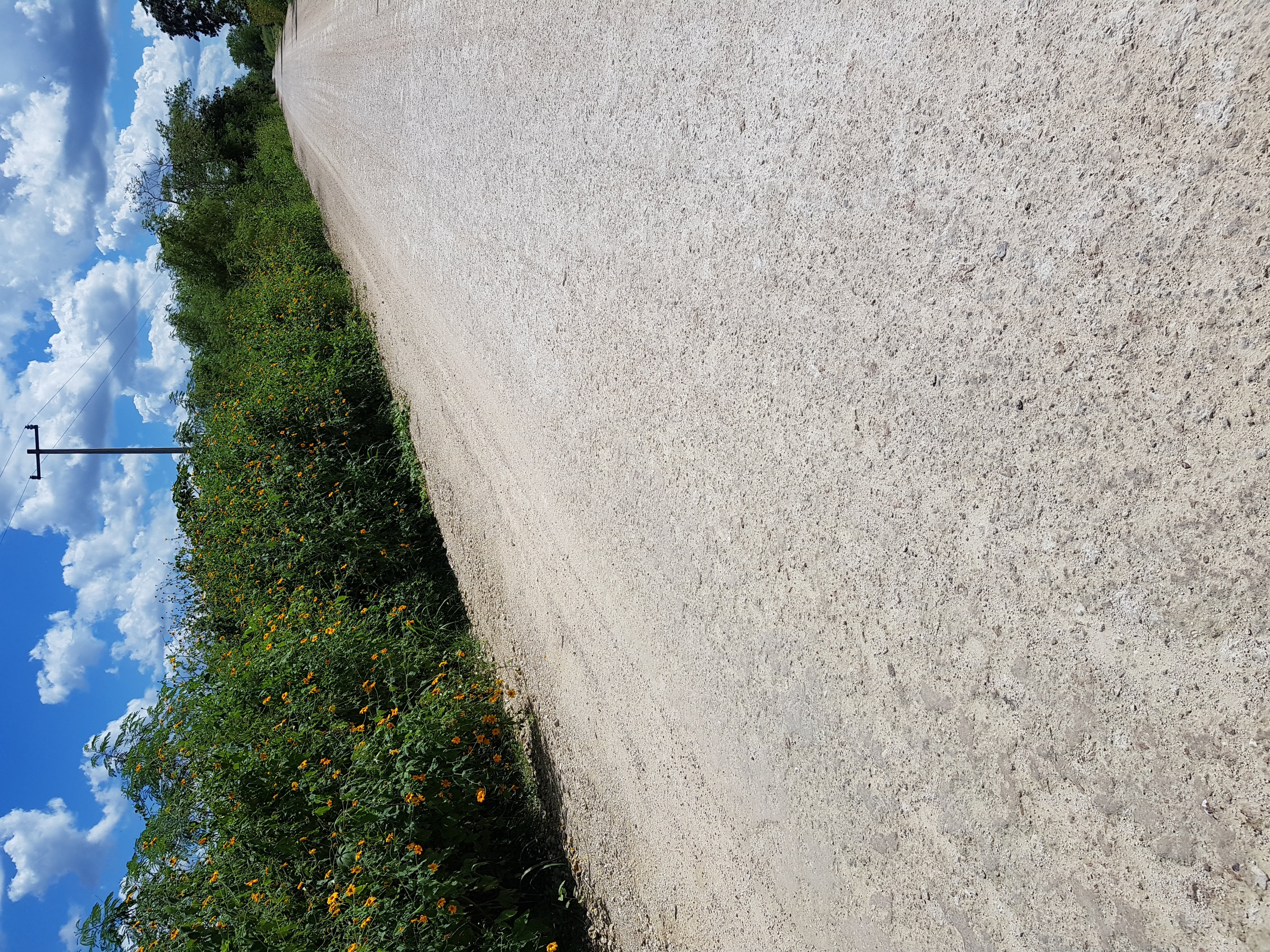 estabilizador iónico de suelos marca enfirme