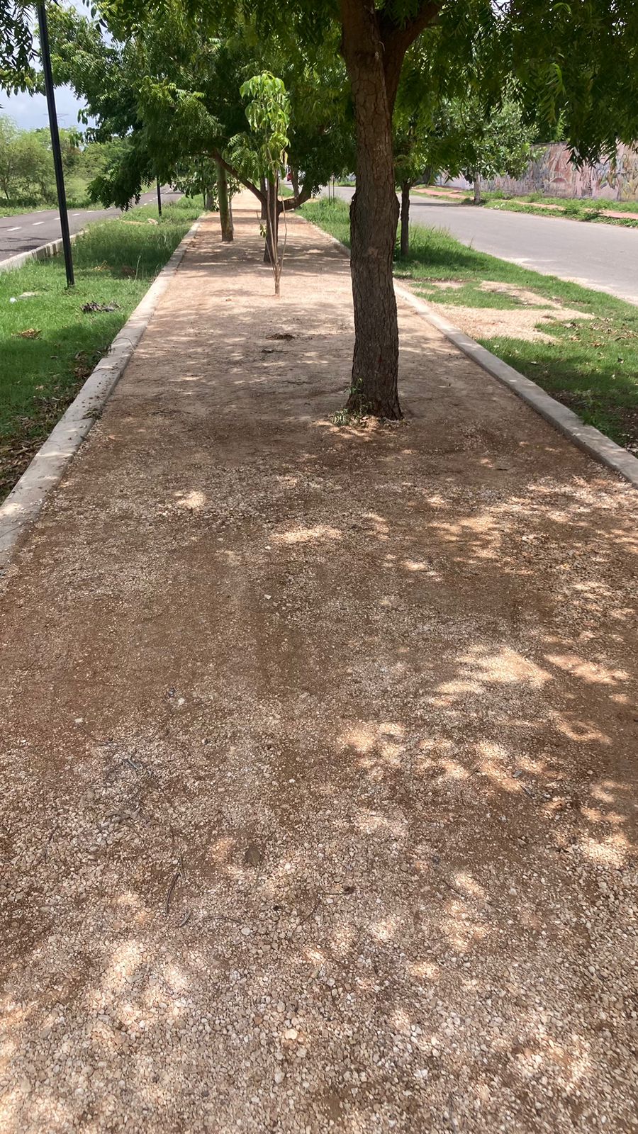 estabilizador iónico de suelos marca enfirme