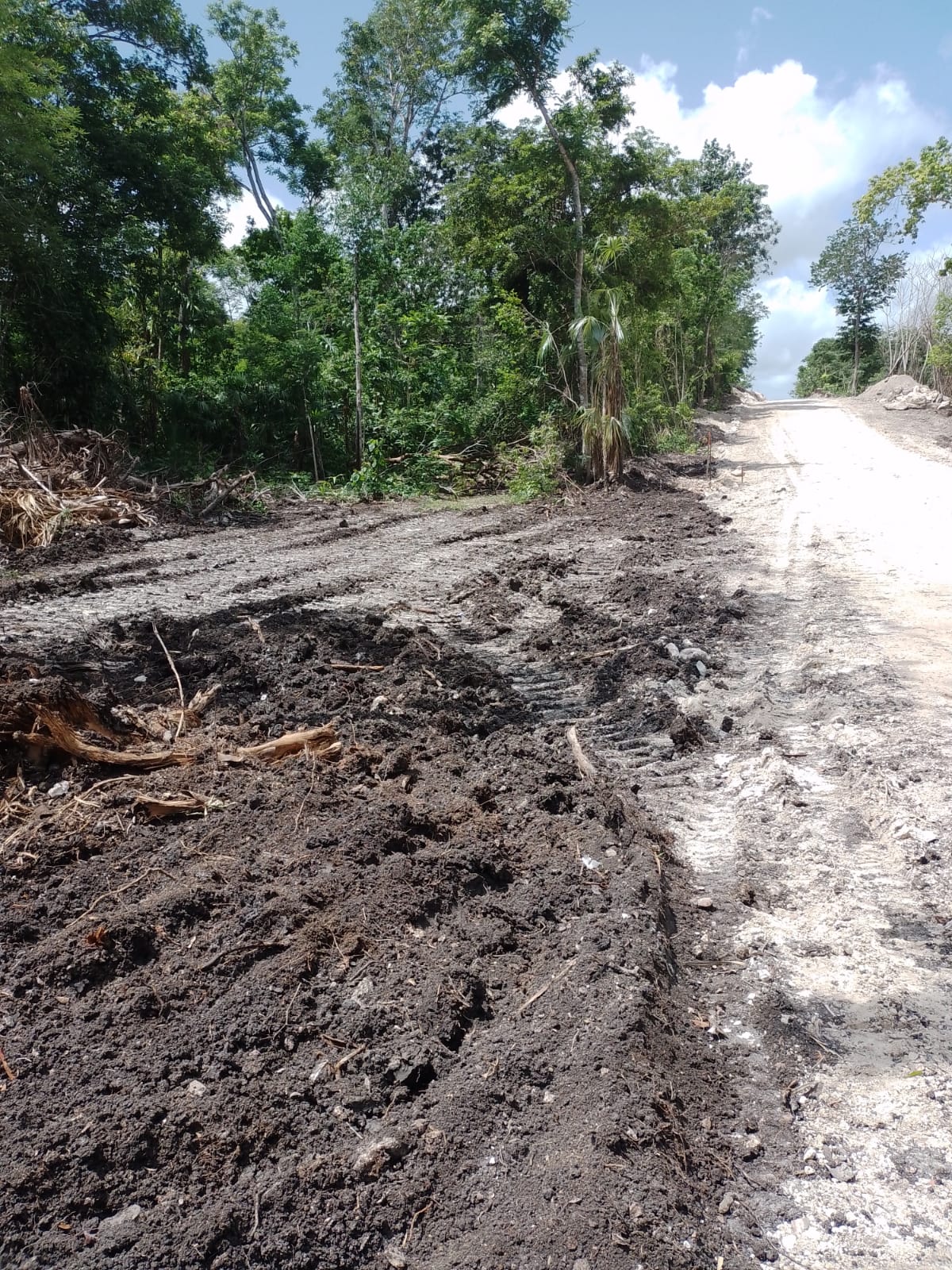 estabilizador iónico para caminos