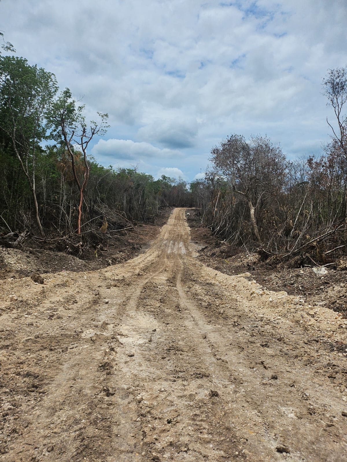 estabilizador iónico para caminos