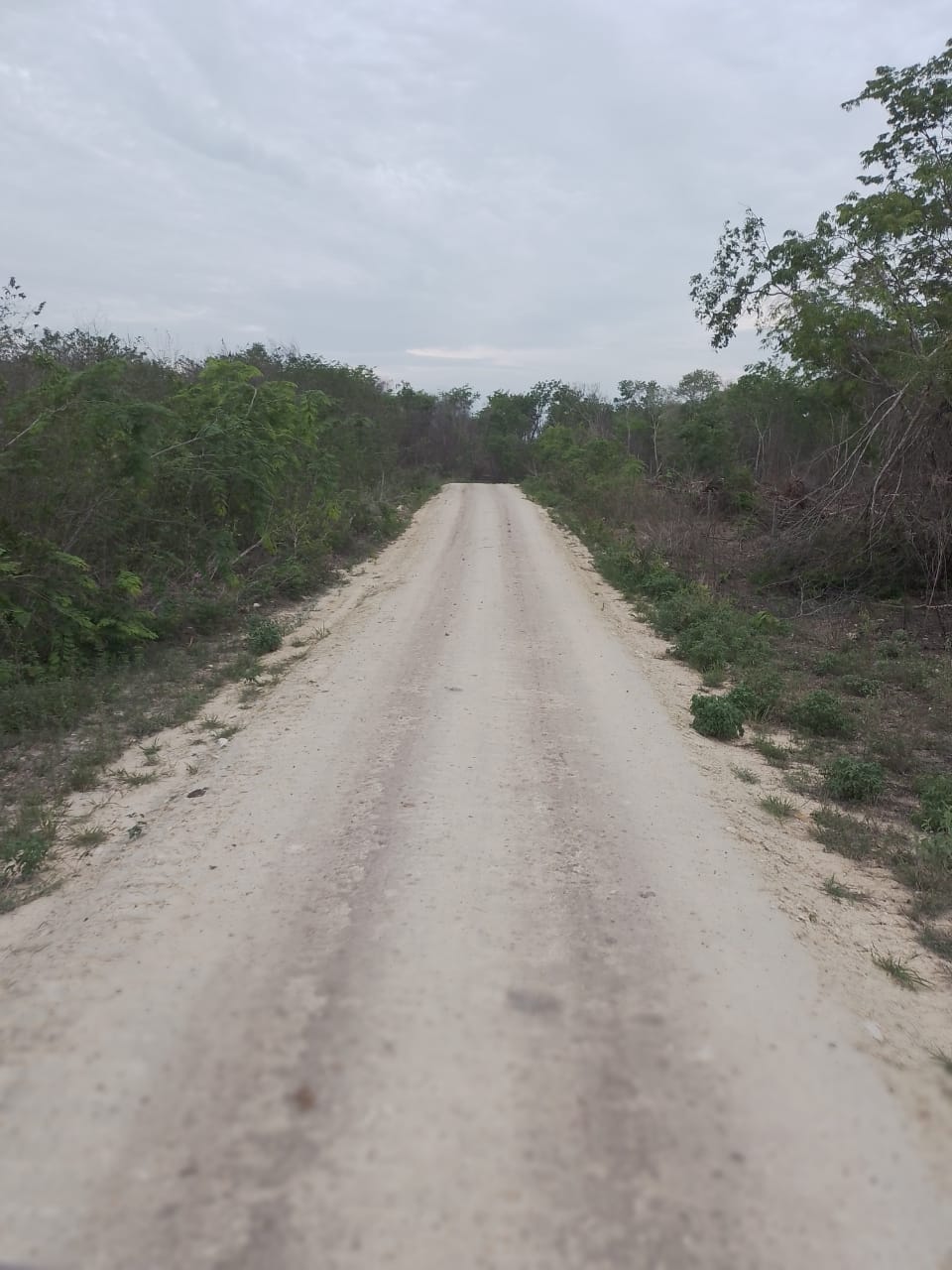 estabilizador iónico de suelos marca enfirme