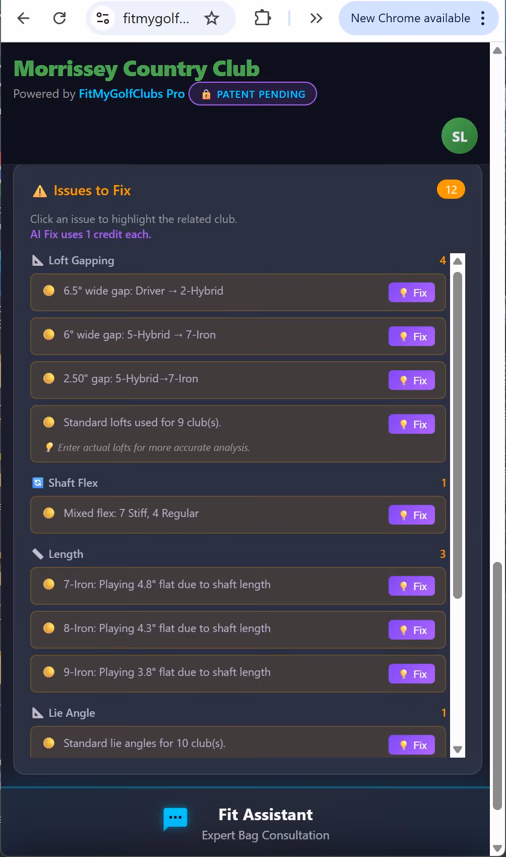 Issues to Fix view showing loft gapping, shaft flex, length, and lie angle issues with AI Fix buttons