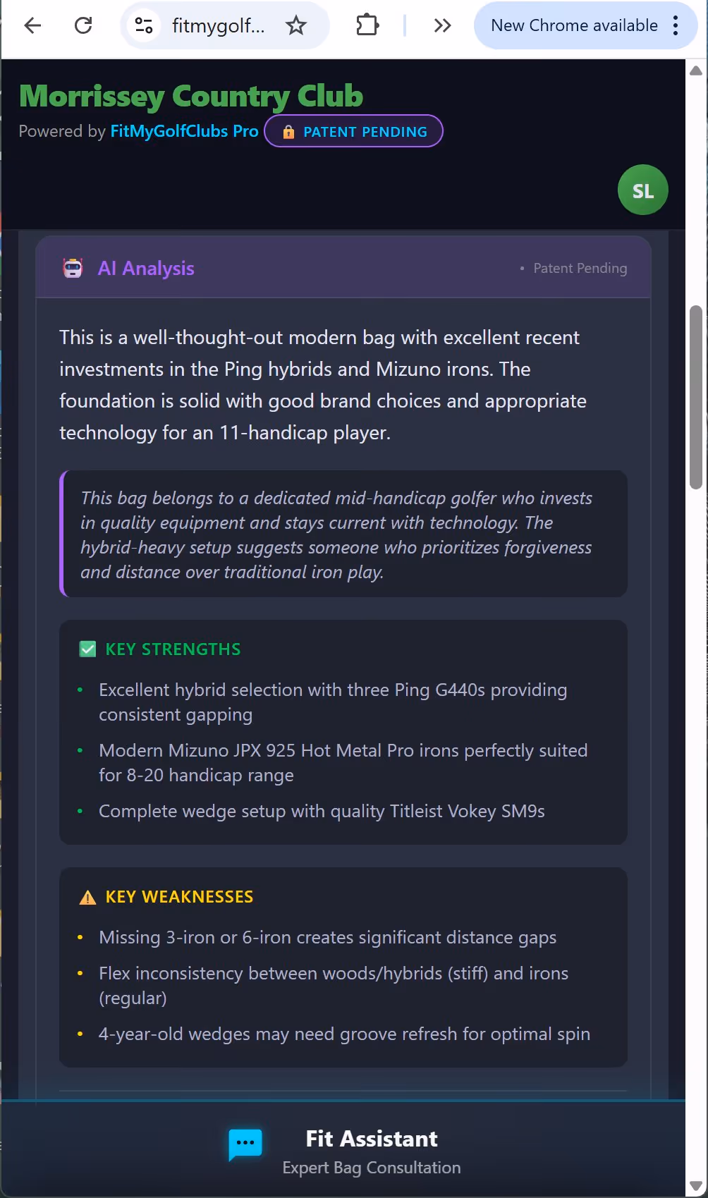 AI analysis showing key strengths and weaknesses with specific club and brand references