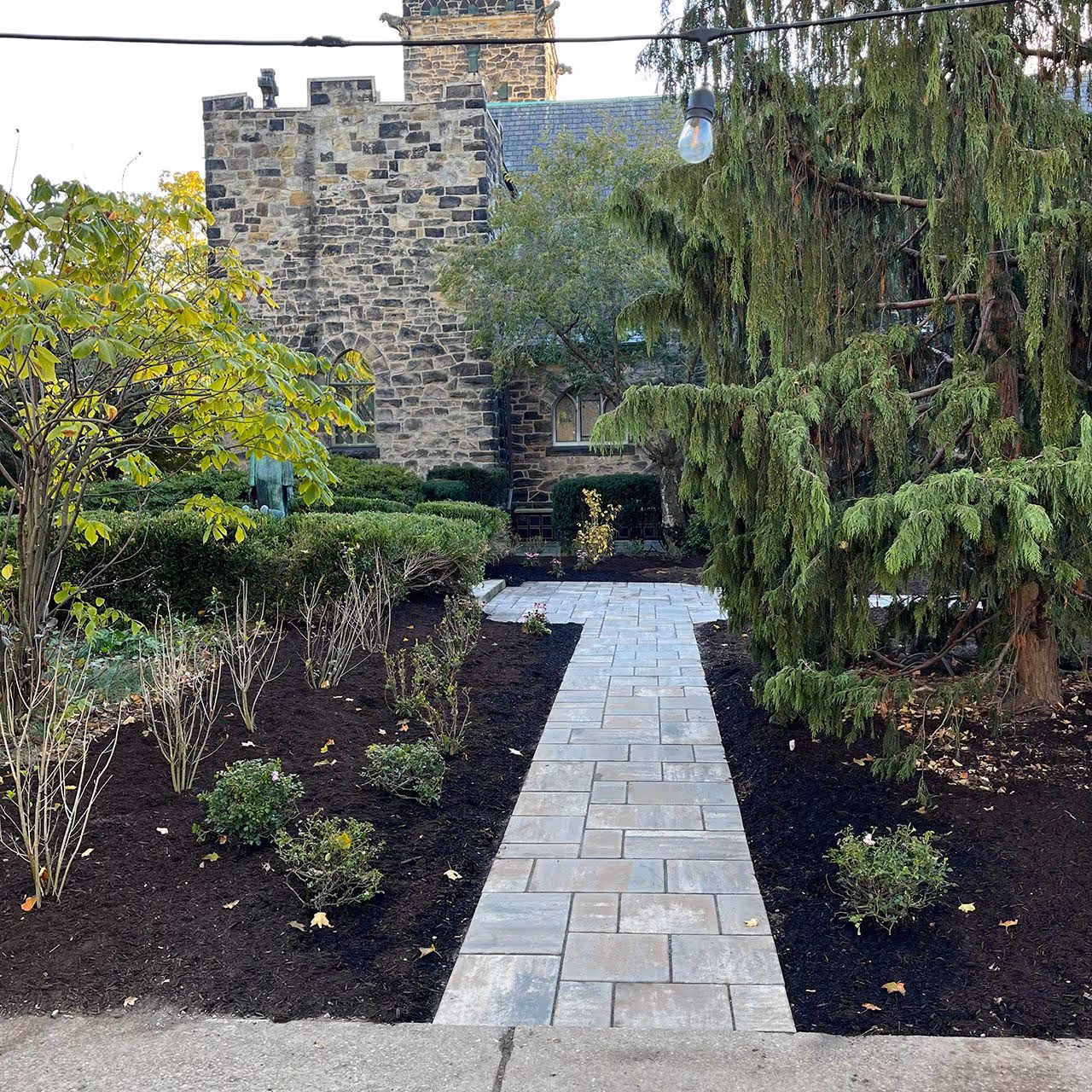 Professional landscaping services near me high quality results