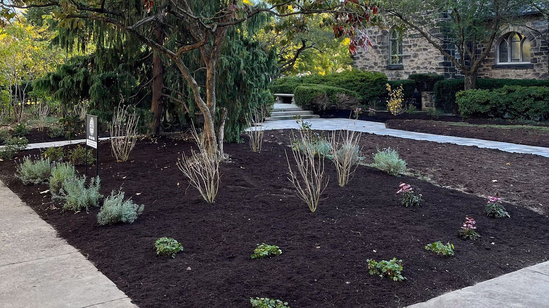 Front yard landscaping upgrade with fresh plantings and mulch