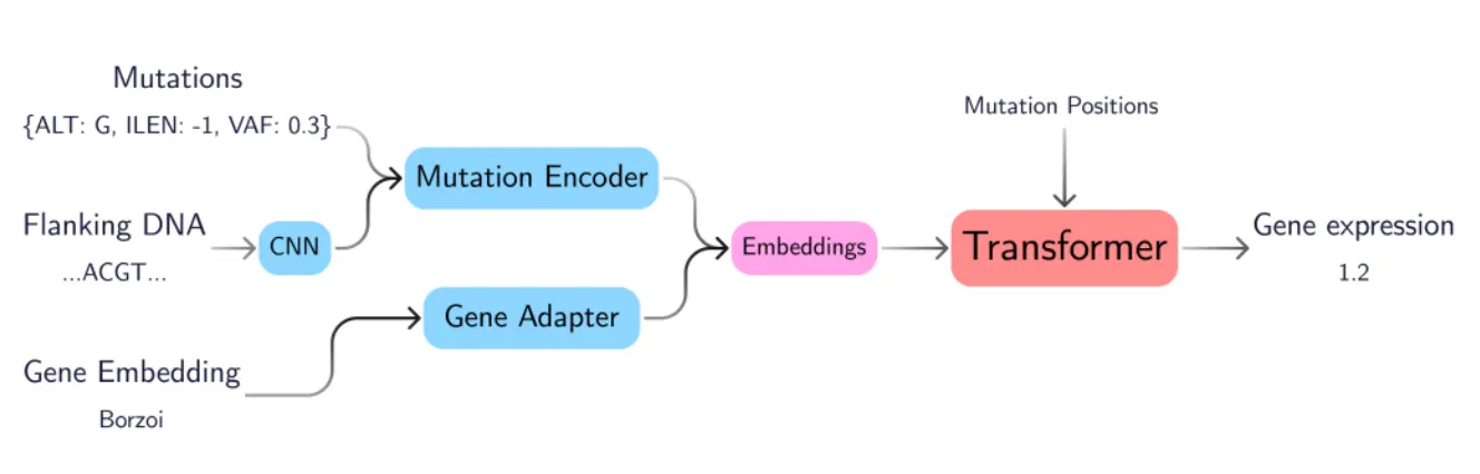 Predicting Gene Expression Form