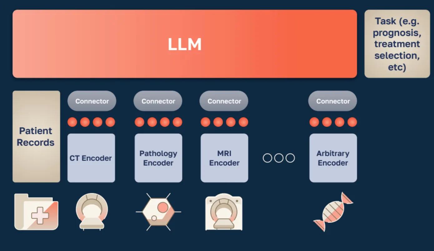 LLM diagram