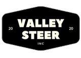 ValleySteer