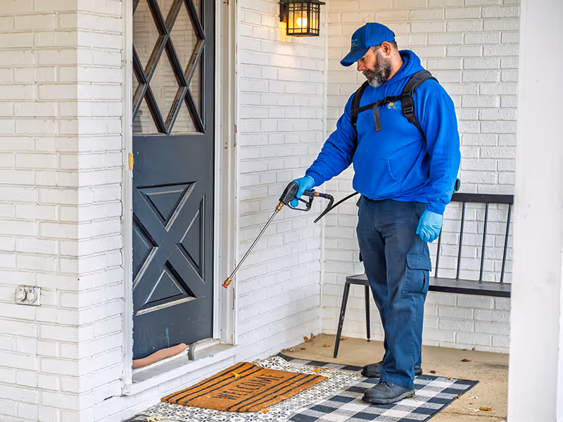 treating an ohio home for pests